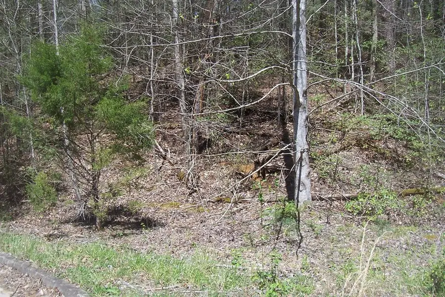 Lot 8 Rail Hill Lane, Sevierville, TN 37876 - Image #3
