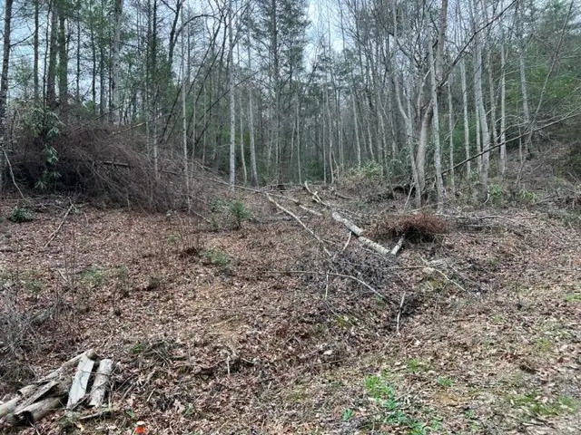 Lot 3D Coy Rhea Way, Sevierville, TN 37876 - #1