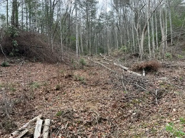 Lot 3D Coy Rhea Way, Sevierville, TN 37876 - #2