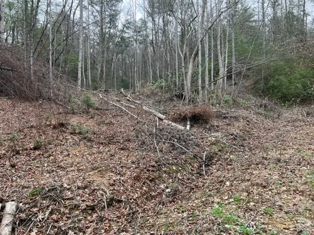Lot 3D Coy Rhea Way, Sevierville, TN 37876 - #3