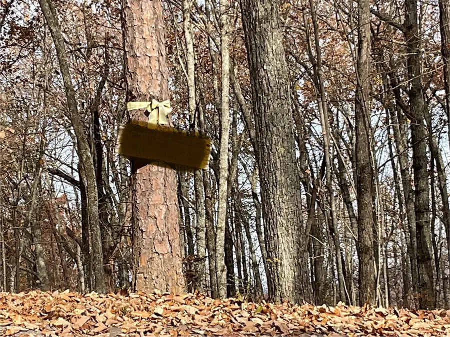 0 Boogertown Road, Sevierville, TN 37876 - Image #2