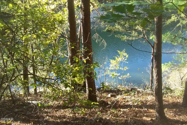 Lot 20 Scott St, Sevierville, TN 37876