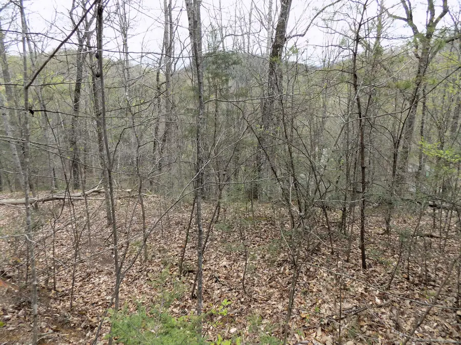 Par 001.08 Mountain Shadow Way, Cosby, TN 37722 - #3