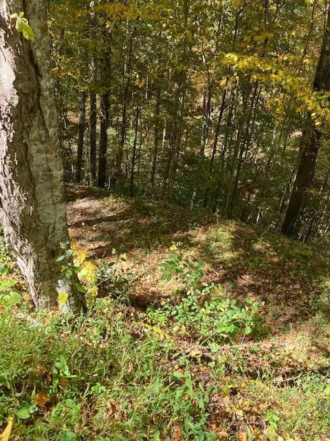 00 Laurel Road, Townsend, TN 37882 - Image #3