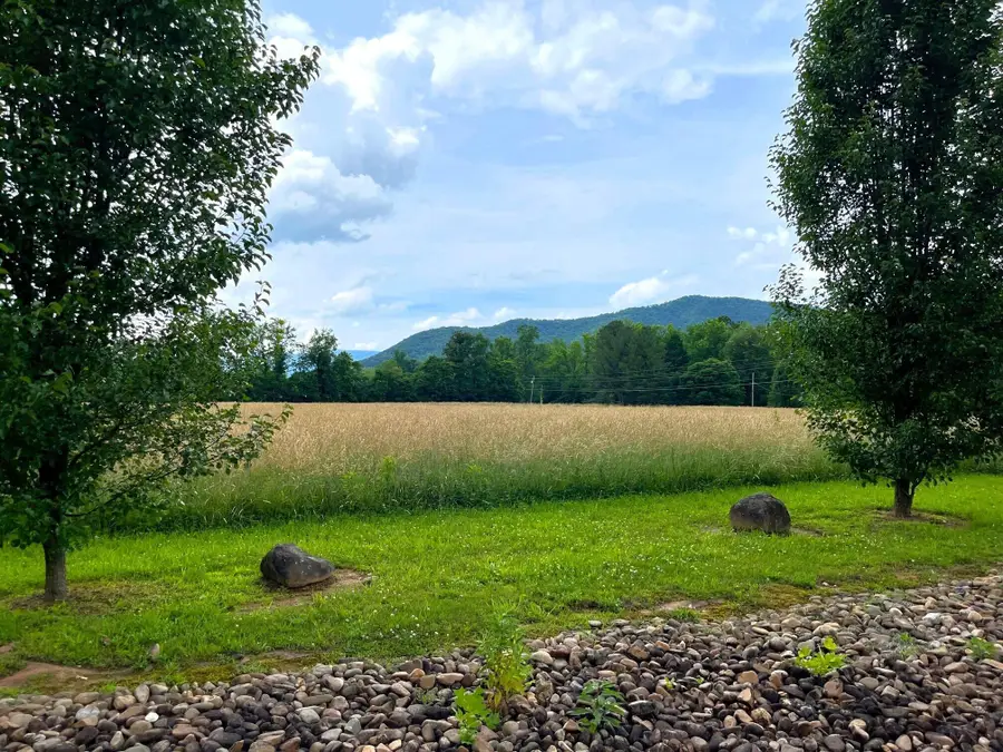 Par 130.01 S Hwy 32, Cosby, TN 37722 - Image #2