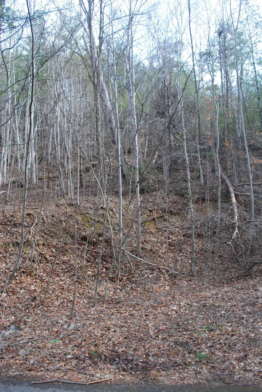 Lot 21 Marian Lake Way, Sevierville, TN 37862 - #3