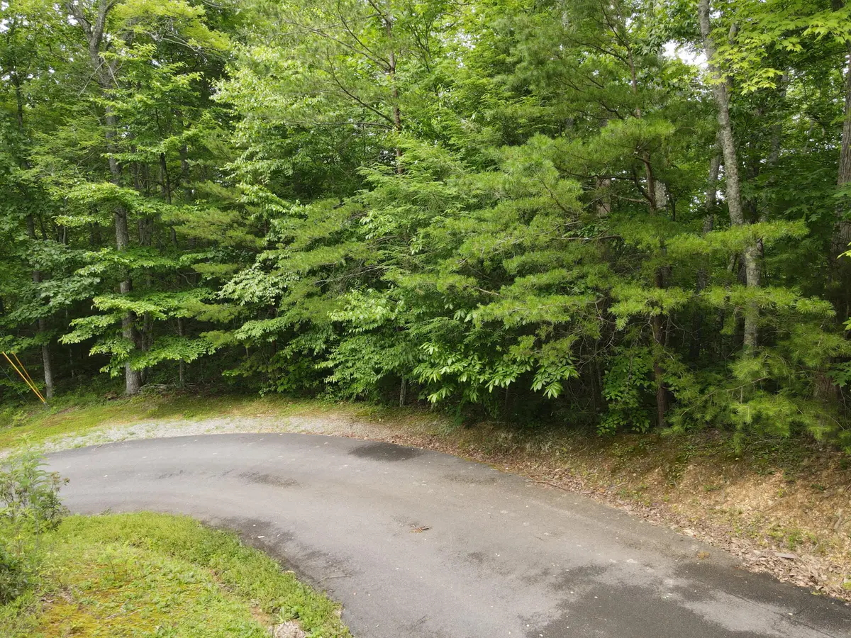 4350 Carolina Cove Way, Pigeon Forge, TN 37863 - Image #1