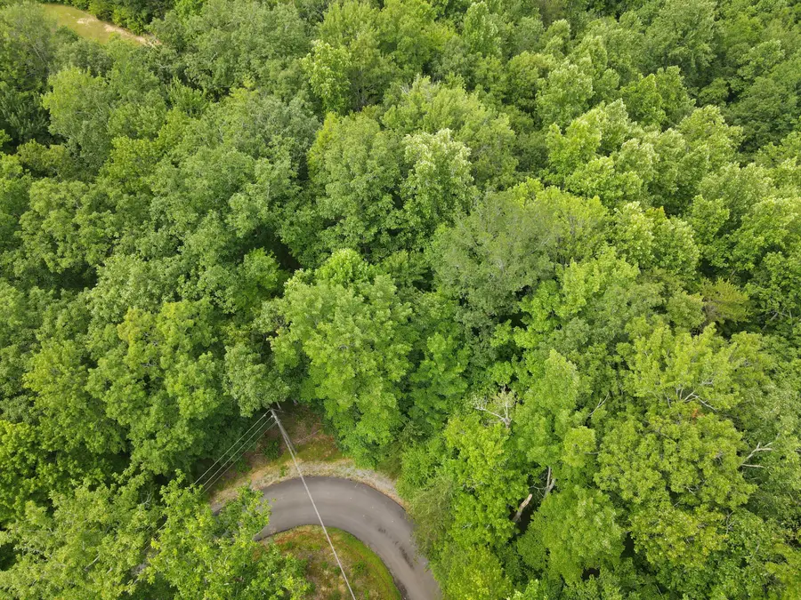 4350 Carolina Cove Way, Pigeon Forge, TN 37863 - Image #2