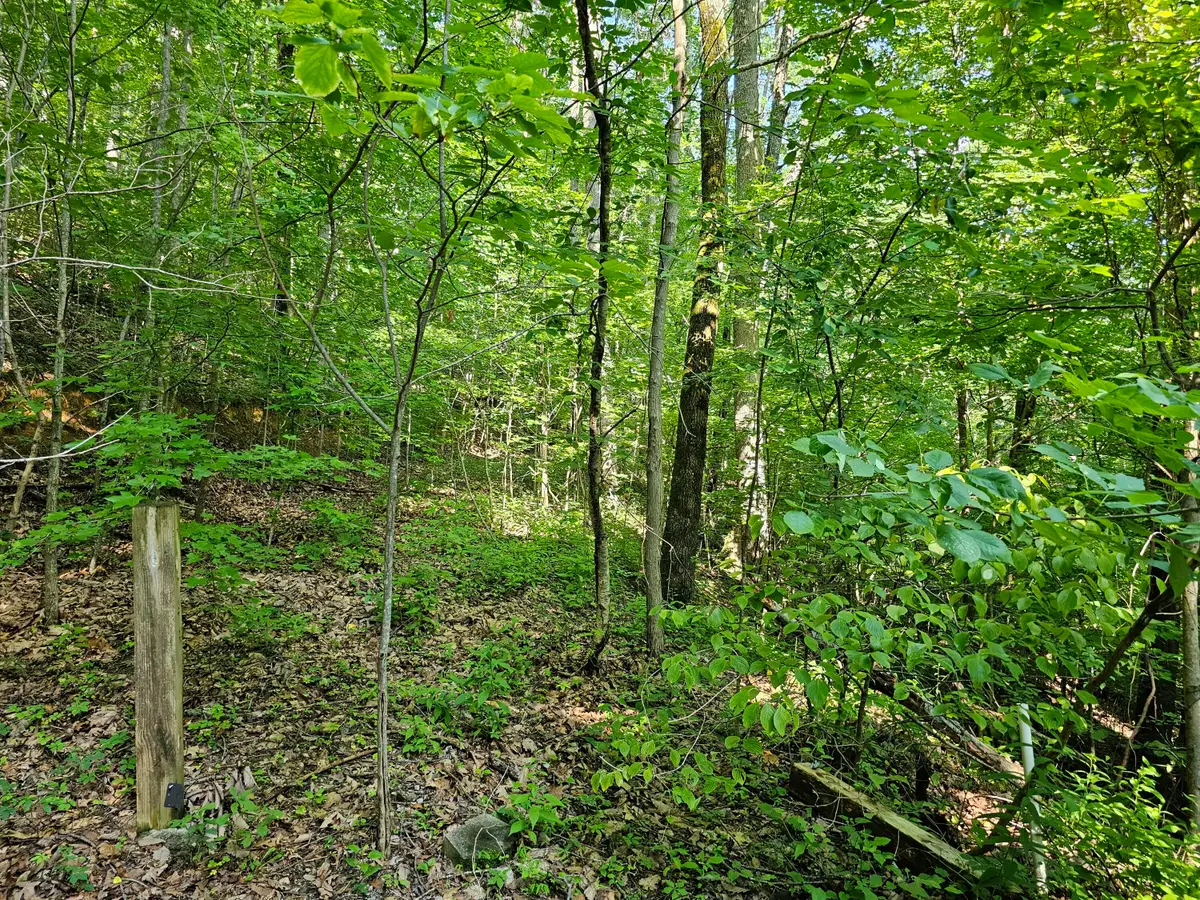 Lot 10 Kristina Way, Sevierville, TN 37862 - #1