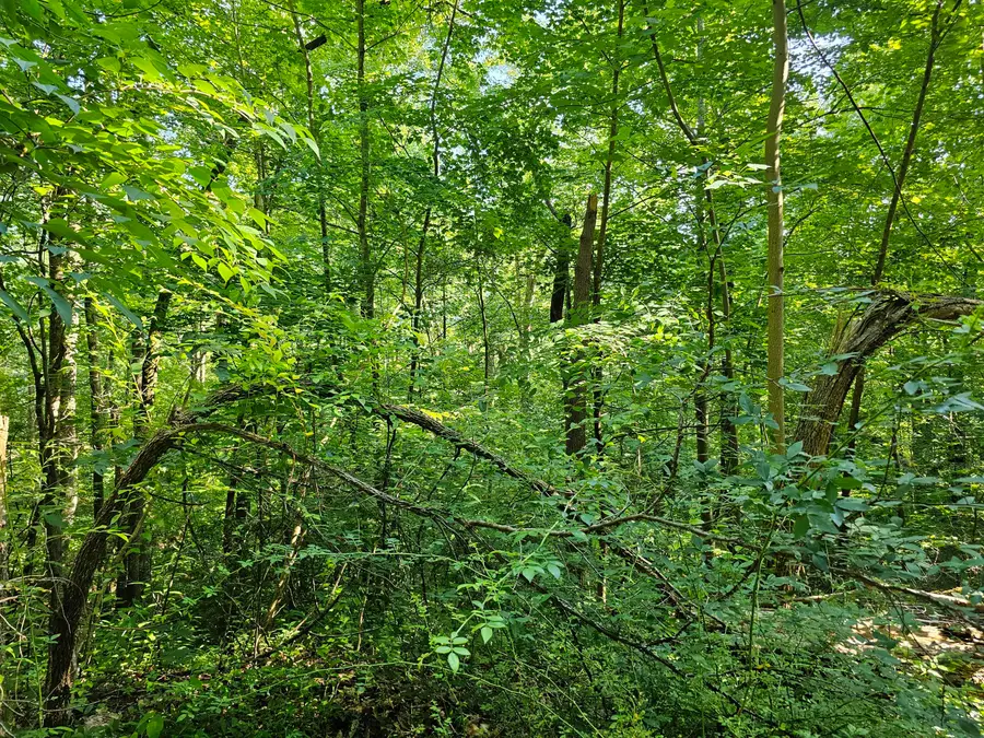 Lot 10 Kristina Way, Sevierville, TN 37862 - #3