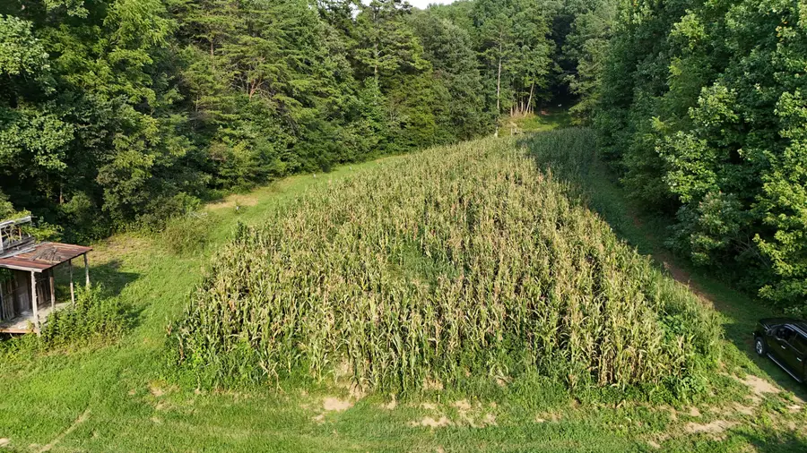 Lot 17 Pleasant View Cemetery Road, New Market, TN 37820 - Image #2