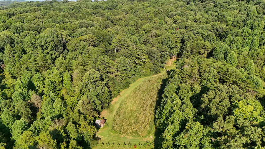 Lot 17 Pleasant View Cemetery Road, New Market, TN 37820 - Image #3