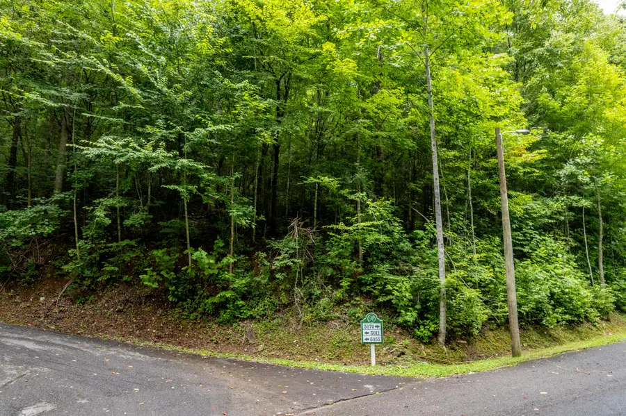 Lot 48 Riversong Way, Sevierville, TN 37876 - #3