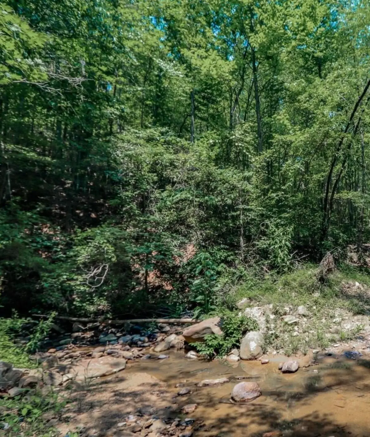 1120 Yellow Springs Road, Cosby, TN 37722 - Image #1