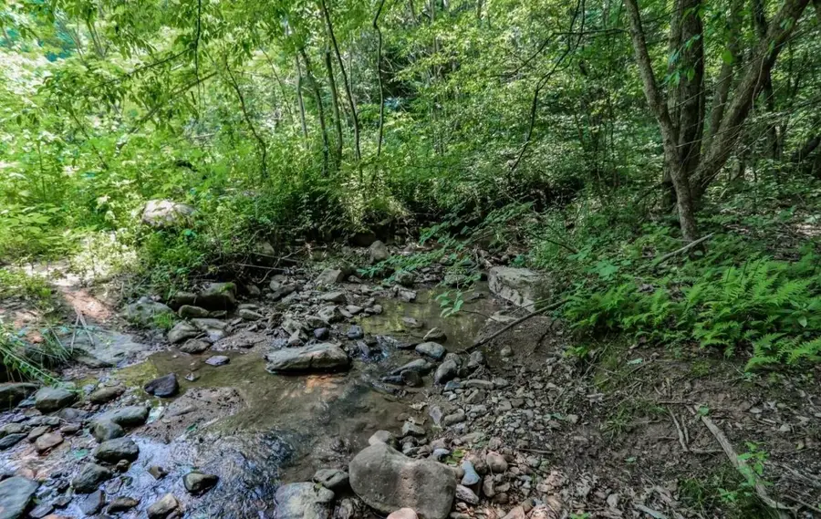 1120 Yellow Springs Road, Cosby, TN 37722 - Image #3