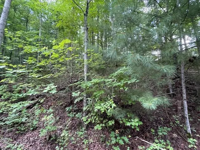 Lot 51 Yellowwood Dr, Sevierville, TN 37876 - Image #3