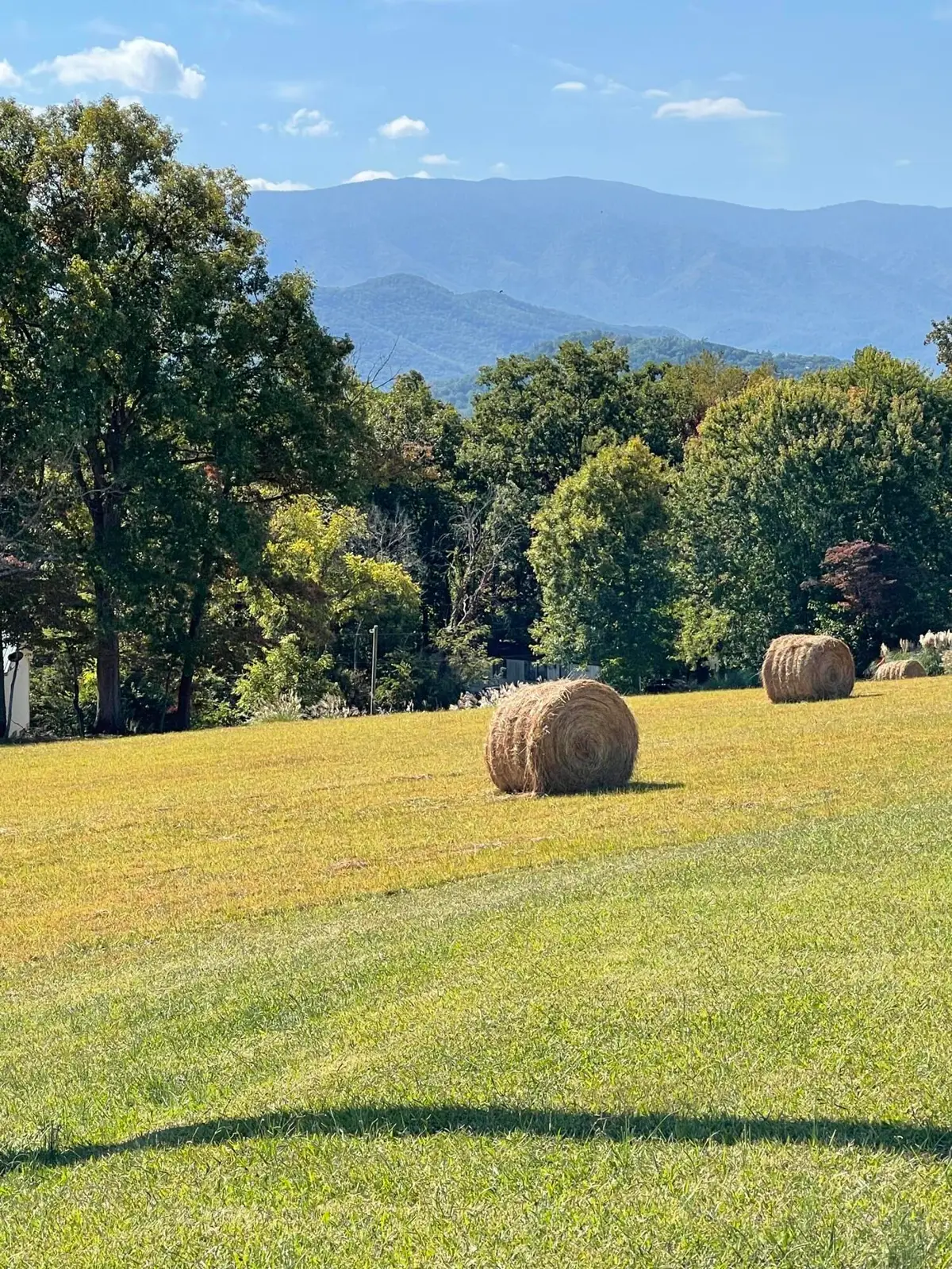 0 Robert E Lee, Newport, TN 37821 - Image #1