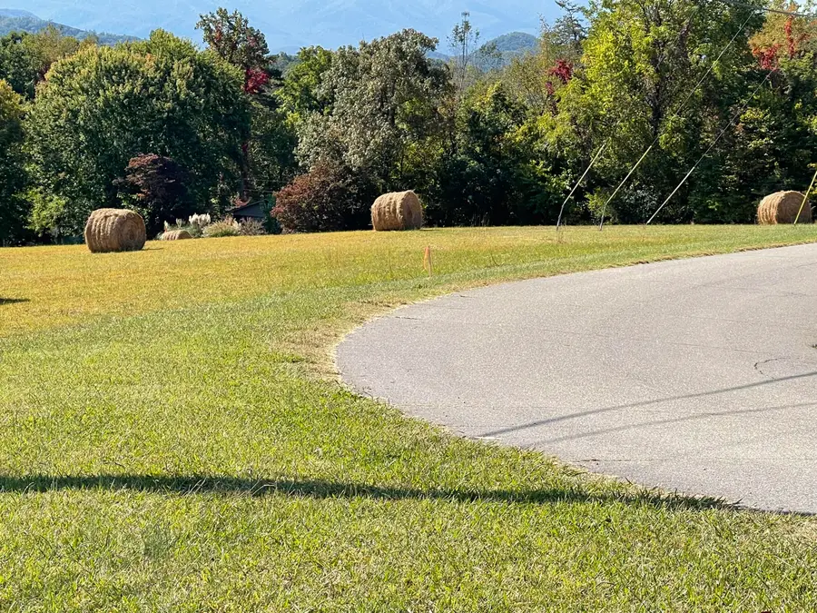 0 Robert E Lee, Newport, TN 37821 - Image #3