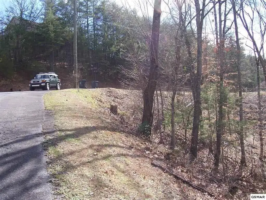 Lot 53 Hid View St, Pigeon Forge, TN 37863 - Image #2