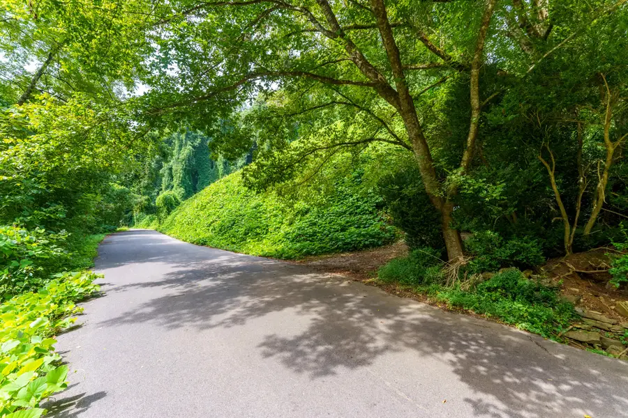 206 Caney Creek Road, Pigeon Forge, TN 37863 - Image #3