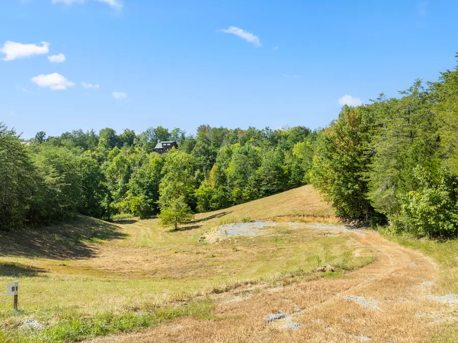 910 Debras Way, Sevierville, TN 37876 - Image #2