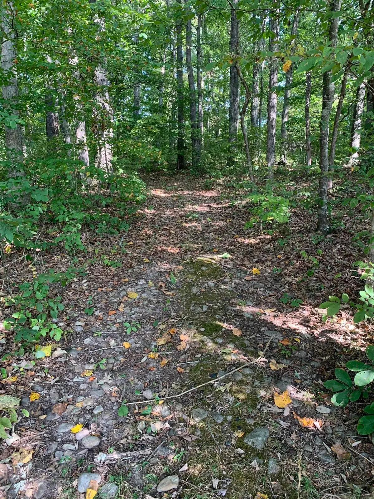 000 Glendale Road, Bybee, TN 37713 - Image #1