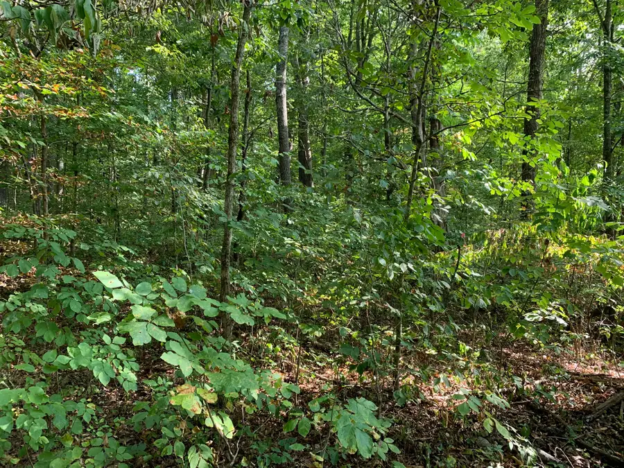 000 Glendale Road, Bybee, TN 37713 - Image #3