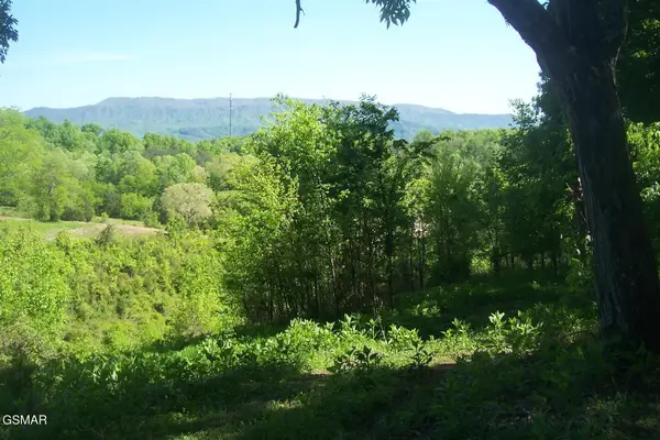 Tract 1 Chapman Highway Highway, Seymour, TN 37865