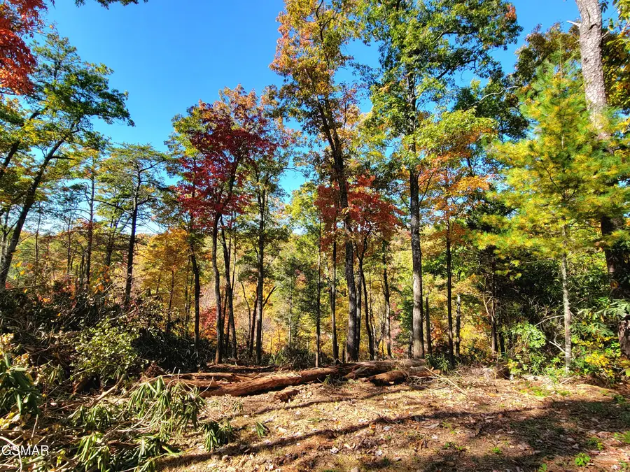 Lot # 54 Riversong Ridge Way, Sevierville, TN 37876 - #2