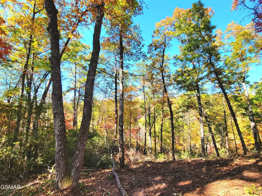 Lot # 54 Riversong Ridge Way, Sevierville, TN 37876 - #3