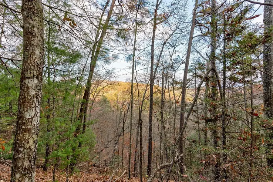 Lot 81 Whetstone Road, Sevierville, TN 37862 - #2