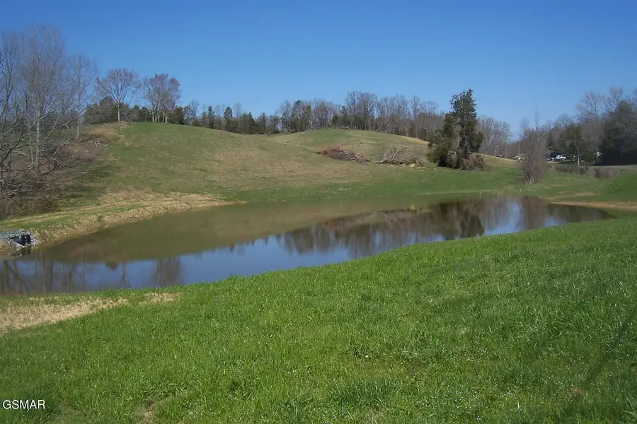 000 Flat Creek Rd, Sevierville, TN 37876 - #2