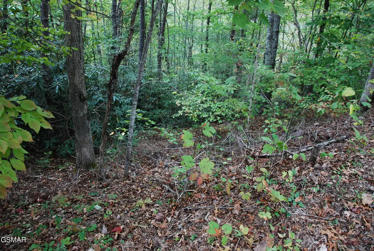 2017 Ridgecrest Loop Lane, Sevierville, TN 37876 - #1