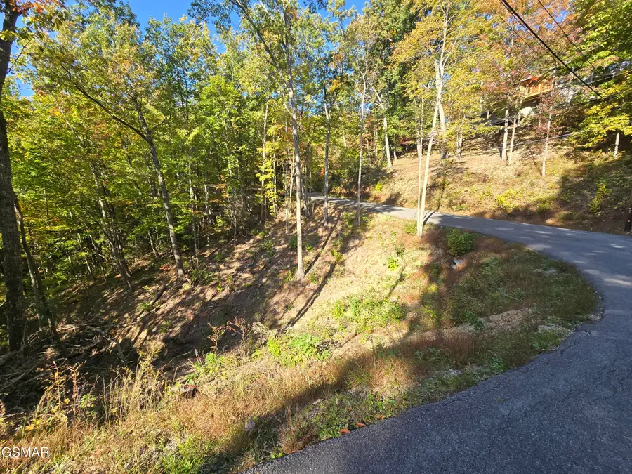 Lot 6 Scenic Trail, Gatlinburg, TN 37738 - #3