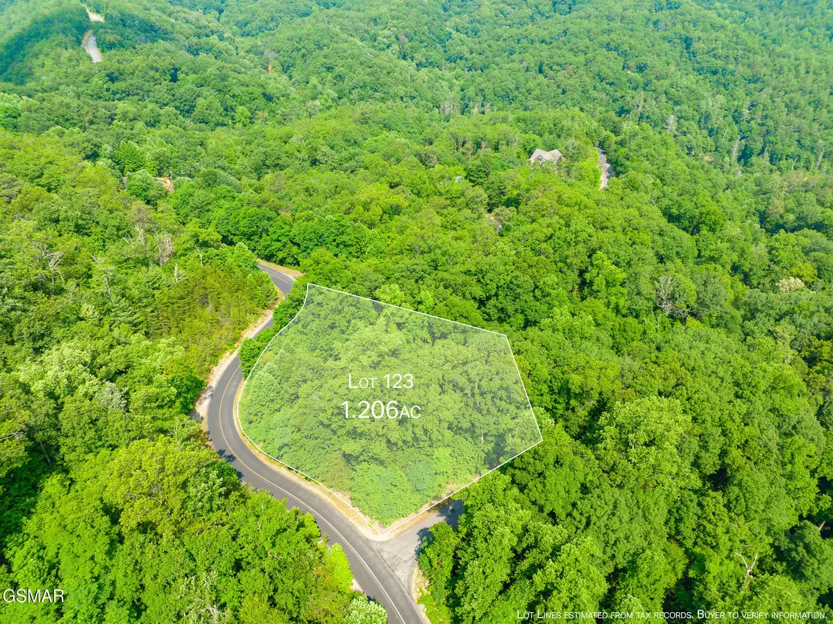 Lot 123 Long Rifle Road, Sevierville, TN 37862 - #1