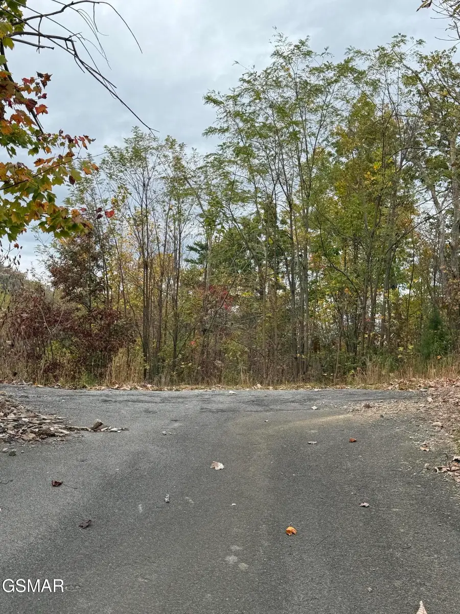 956 Street Of Dreams Drive, Gatlinburg, TN 37738 - Image #2