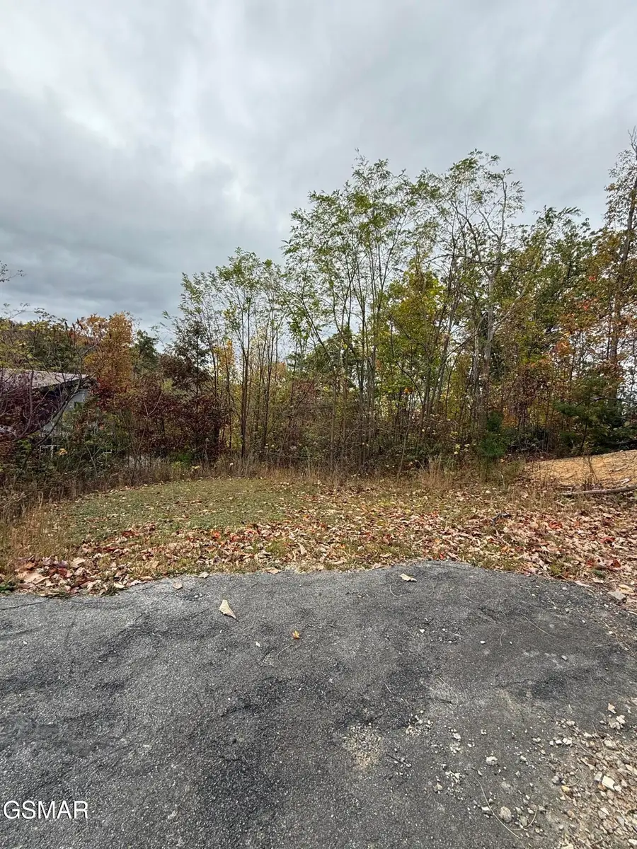 956 Street Of Dreams Drive, Gatlinburg, TN 37738 - Image #3