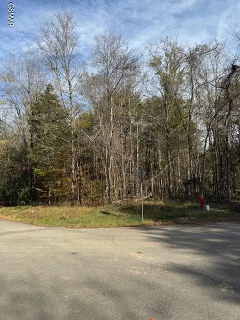 Lot 1023 Cove Lane, Baneberry, TN 37890 - Image #1
