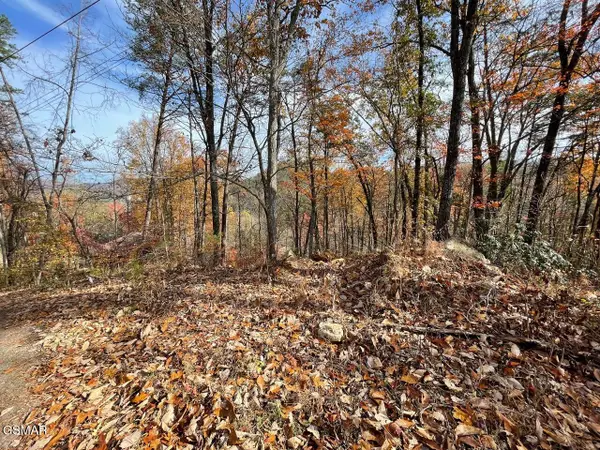 Lot 33R Sugar Mtn. Way, Pigeon Forge, TN 37863