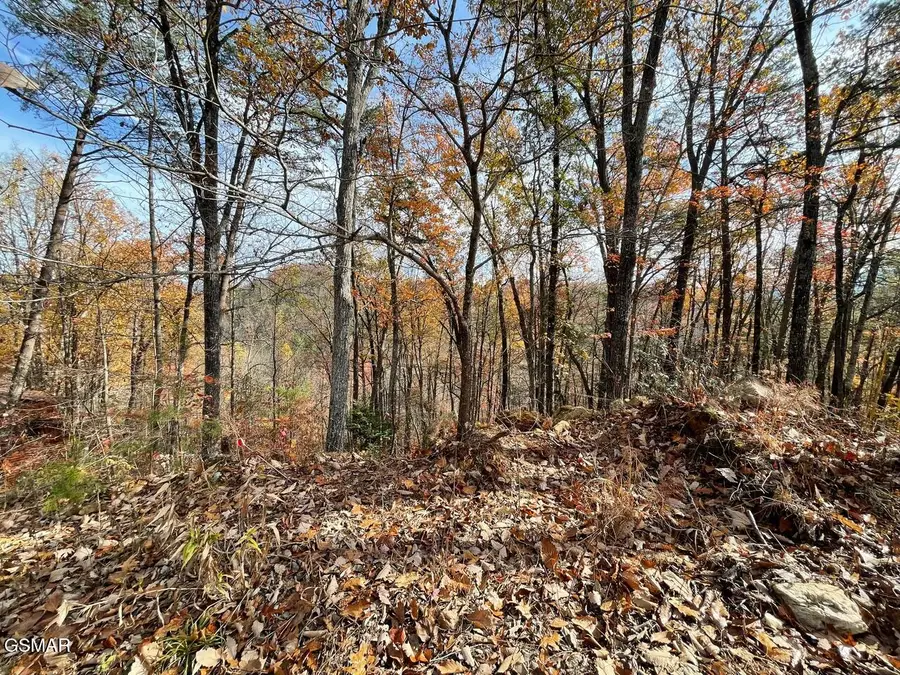 Lot 33R Sugar Mtn. Way, Pigeon Forge, TN 37863 - Image #2