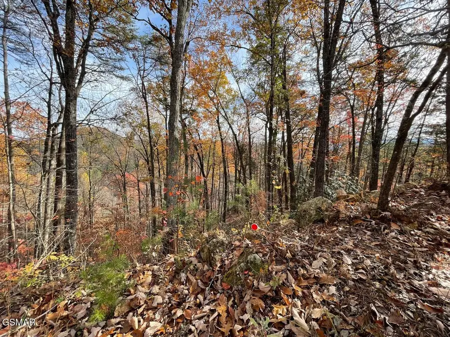 Lot 33R Sugar Mtn. Way, Pigeon Forge, TN 37863 - Image #3