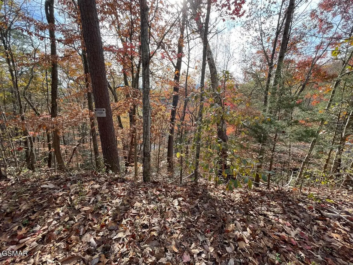 Lot 34R Sugar Mtn Way, Pigeon Forge, TN 37863 - Image #1