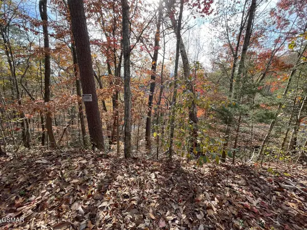 Lot 34R Sugar Mtn Way, Pigeon Forge, TN 37863