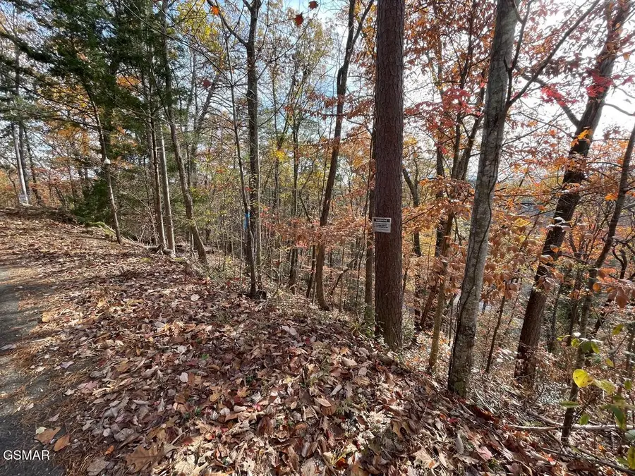Lot 34R Sugar Mtn Way, Pigeon Forge, TN 37863 - Image #2