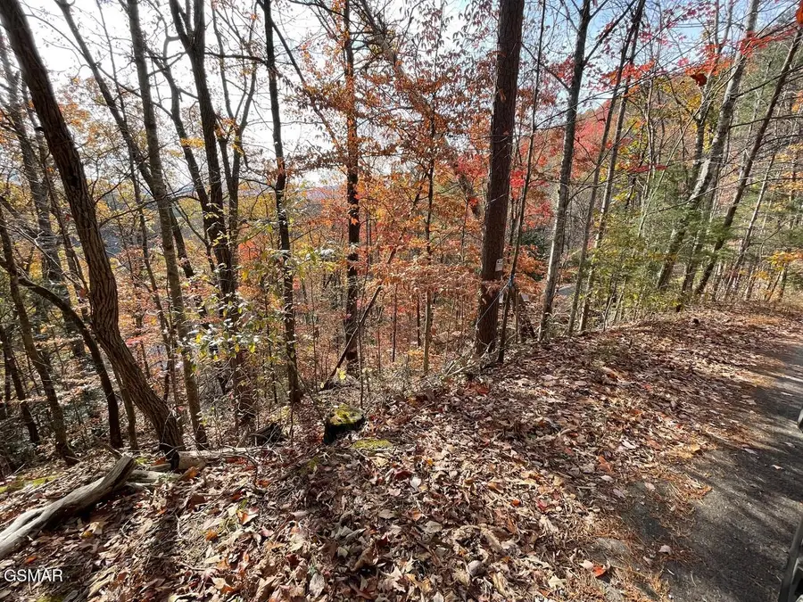 Lot 34R Sugar Mtn Way, Pigeon Forge, TN 37863 - Image #3