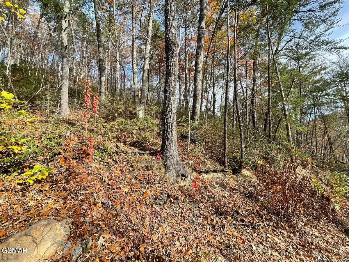 Lot 36R Sugar Mtn Way, Pigeon Forge, TN 37863 - Image #1