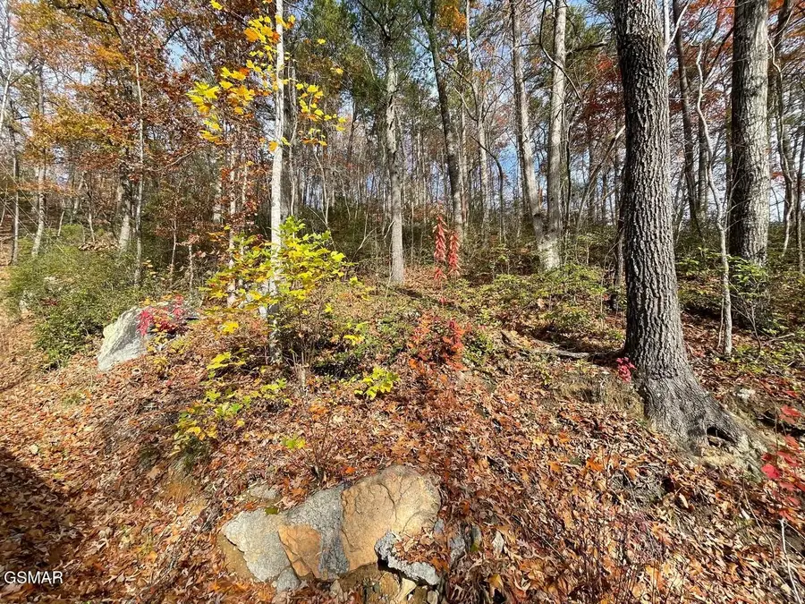 Lot 36R Sugar Mtn Way, Pigeon Forge, TN 37863 - Image #2