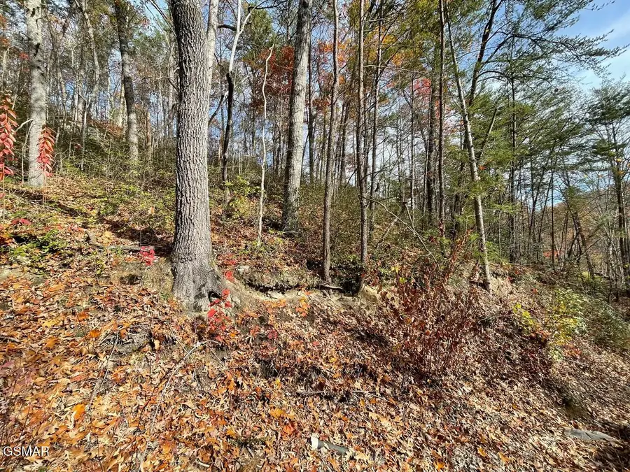 Lot 36R Sugar Mtn Way, Pigeon Forge, TN 37863 - Image #3