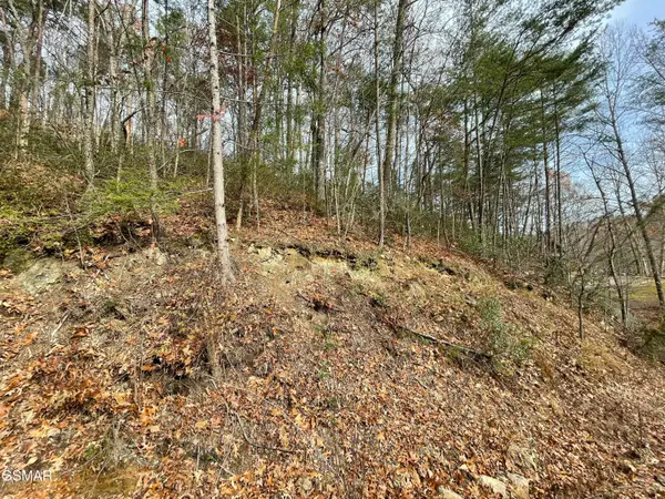 Lot 37R Sugar Mtn Way, Pigeon Forge, TN 37863