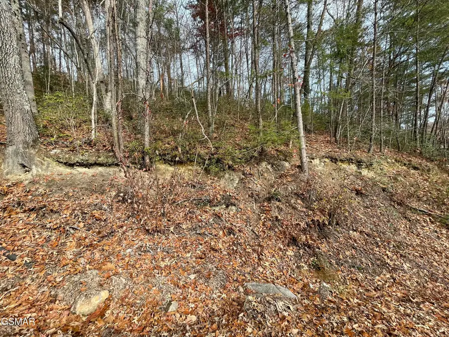 Lot 37R Sugar Mtn Way, Pigeon Forge, TN 37863 - Image #2